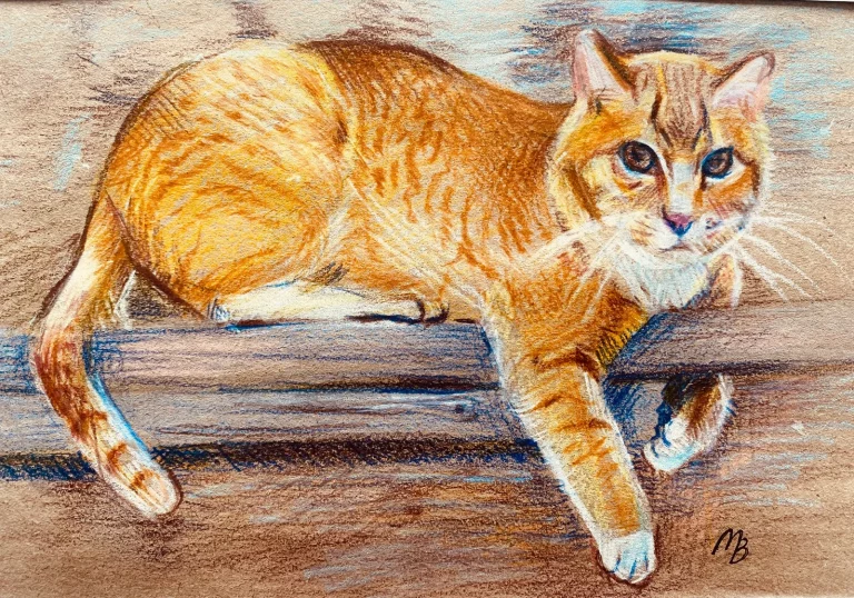 Кот-учёный